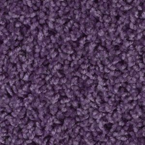 Shagadelic Collection